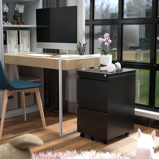 2 Drawer Vertical File Cabinet with Lock, Mobile Metal Filing Cabinet for Legal/Letter Size, Office Storage File Cabinet under Desk, Fully Assembled except Wheels, Black-1