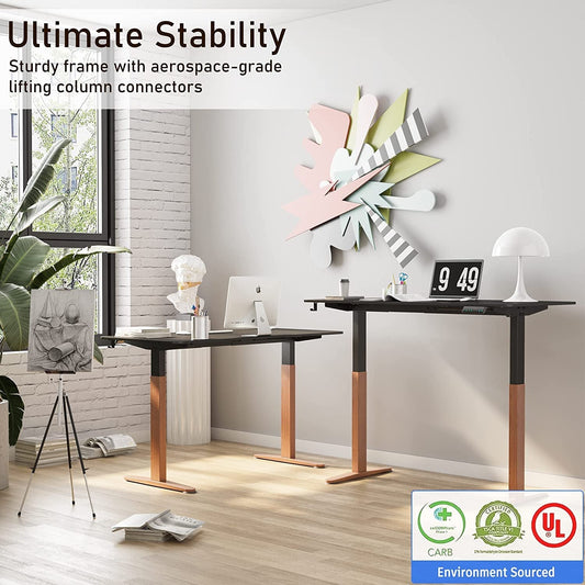 Height Adjustable Electric Standing Desk with Memory Preset-1