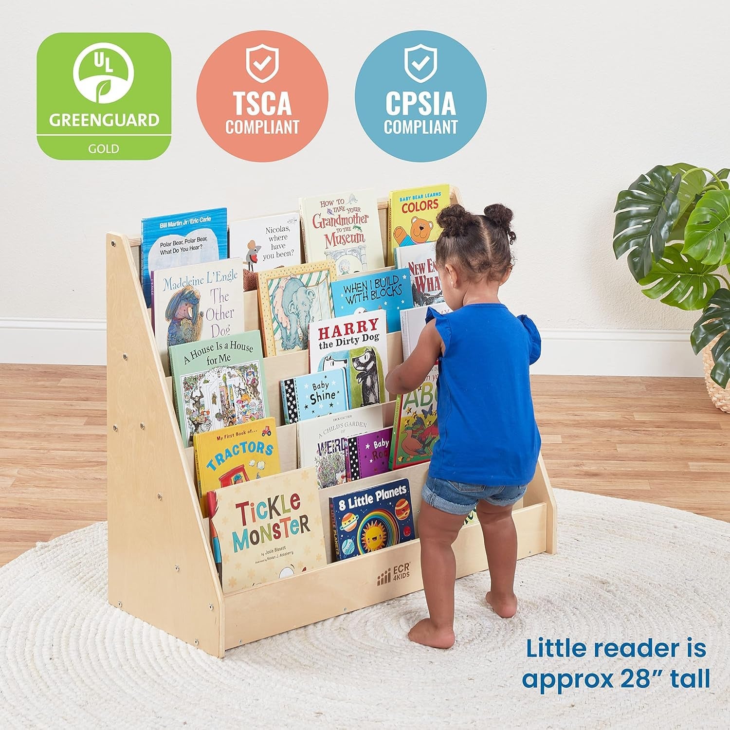 Single-Sided Book Display, Classroom Bookshelf, Natural-4