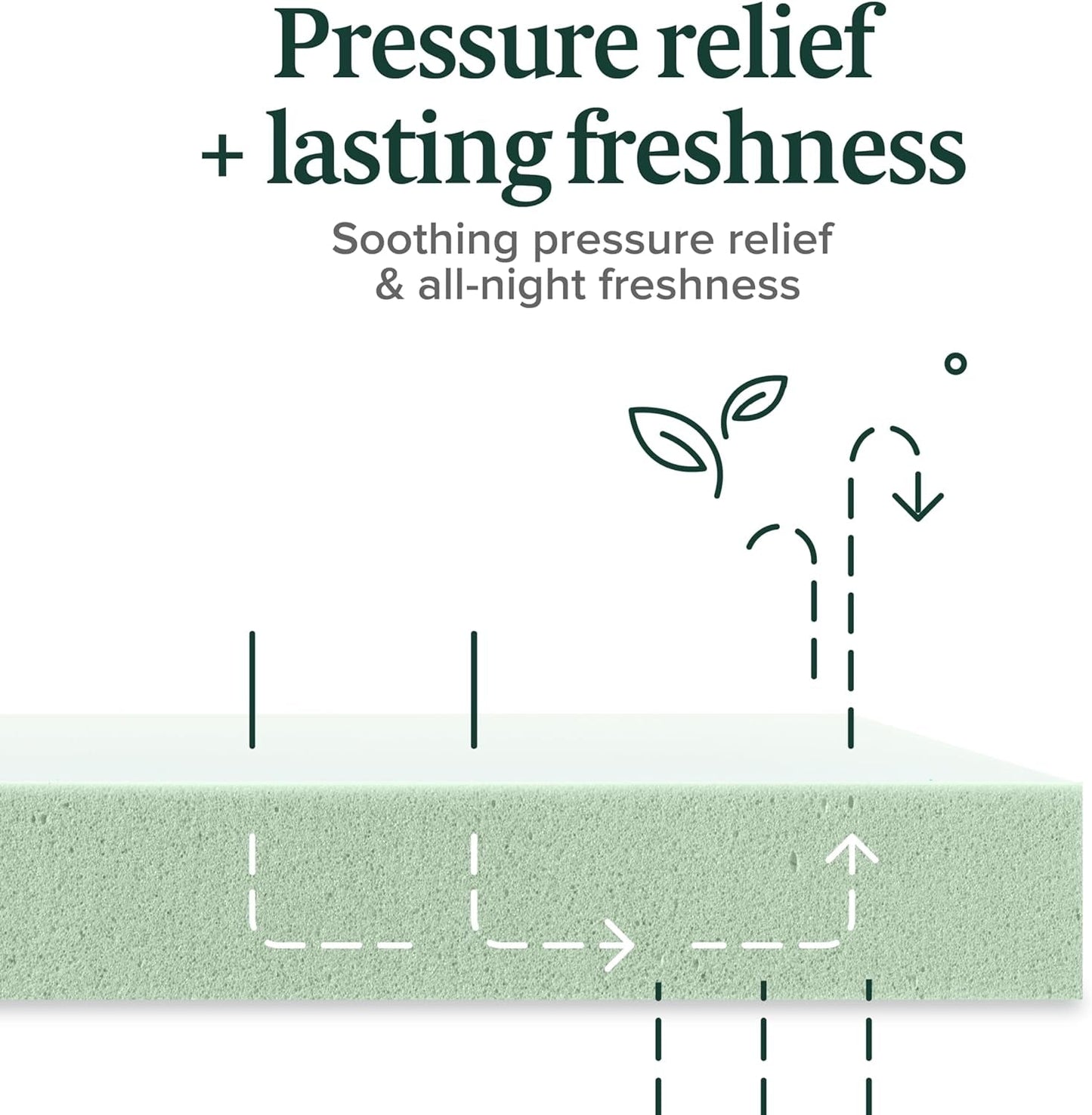 Twin Memory Foam Mattress, 5 Inch, Green Tea Infused, Medium-Firm-4