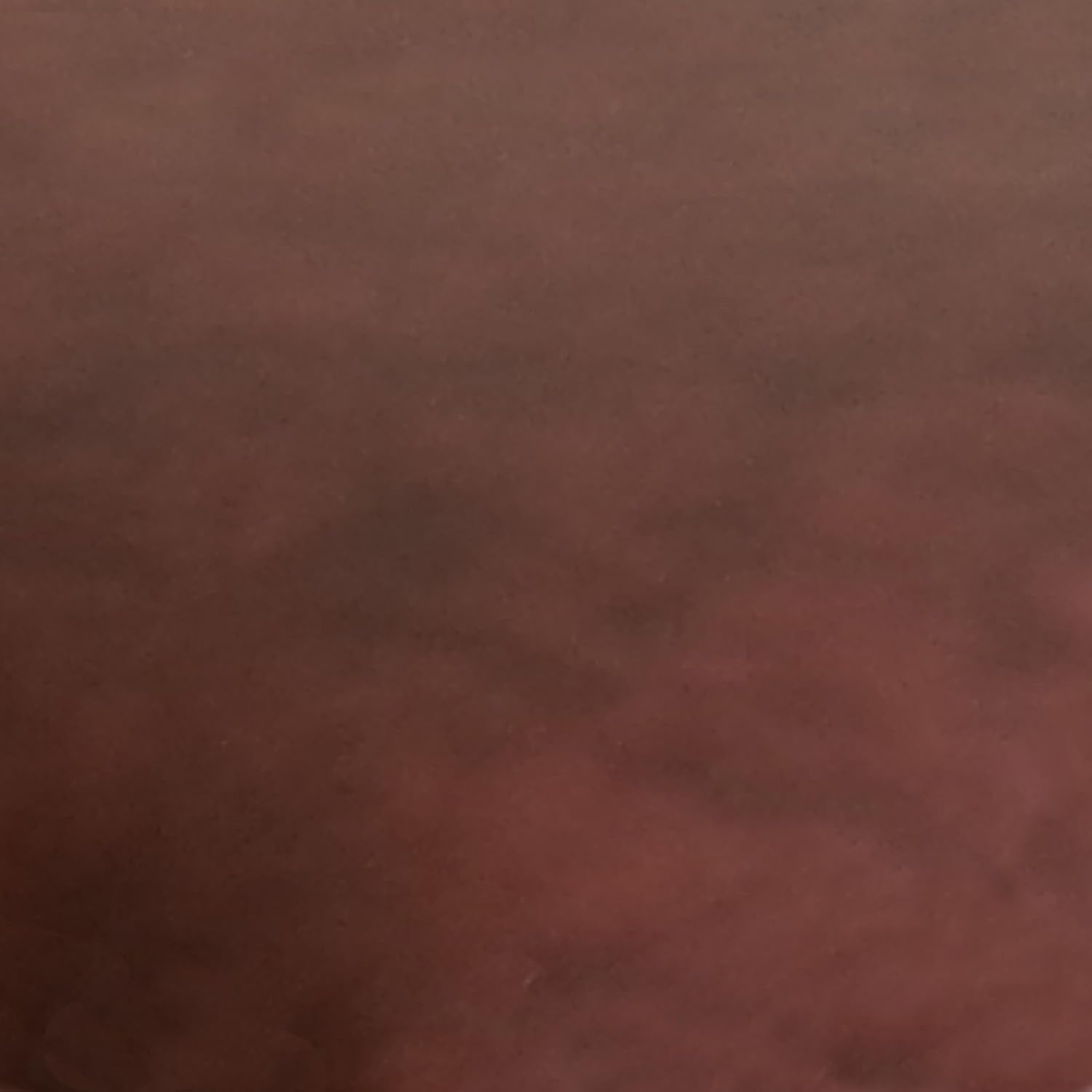 Copenhagen Rolled Arm, Durable Bonded Leather, Soft Pillow Back, Pocket Coil Seat Cushions, Loveseat or Couch for Small Spaces, Living Rooms or Bedrooms, 73" Sofa, Chestnut Brown-3