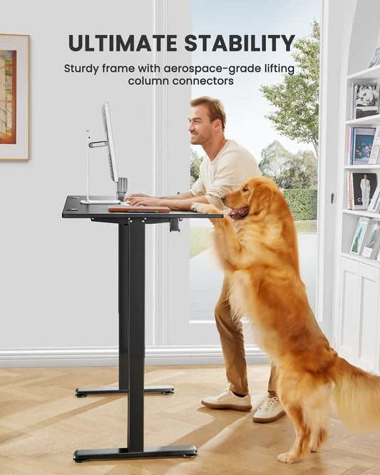 Adjustable Electric Standing Desk for Home Office-1