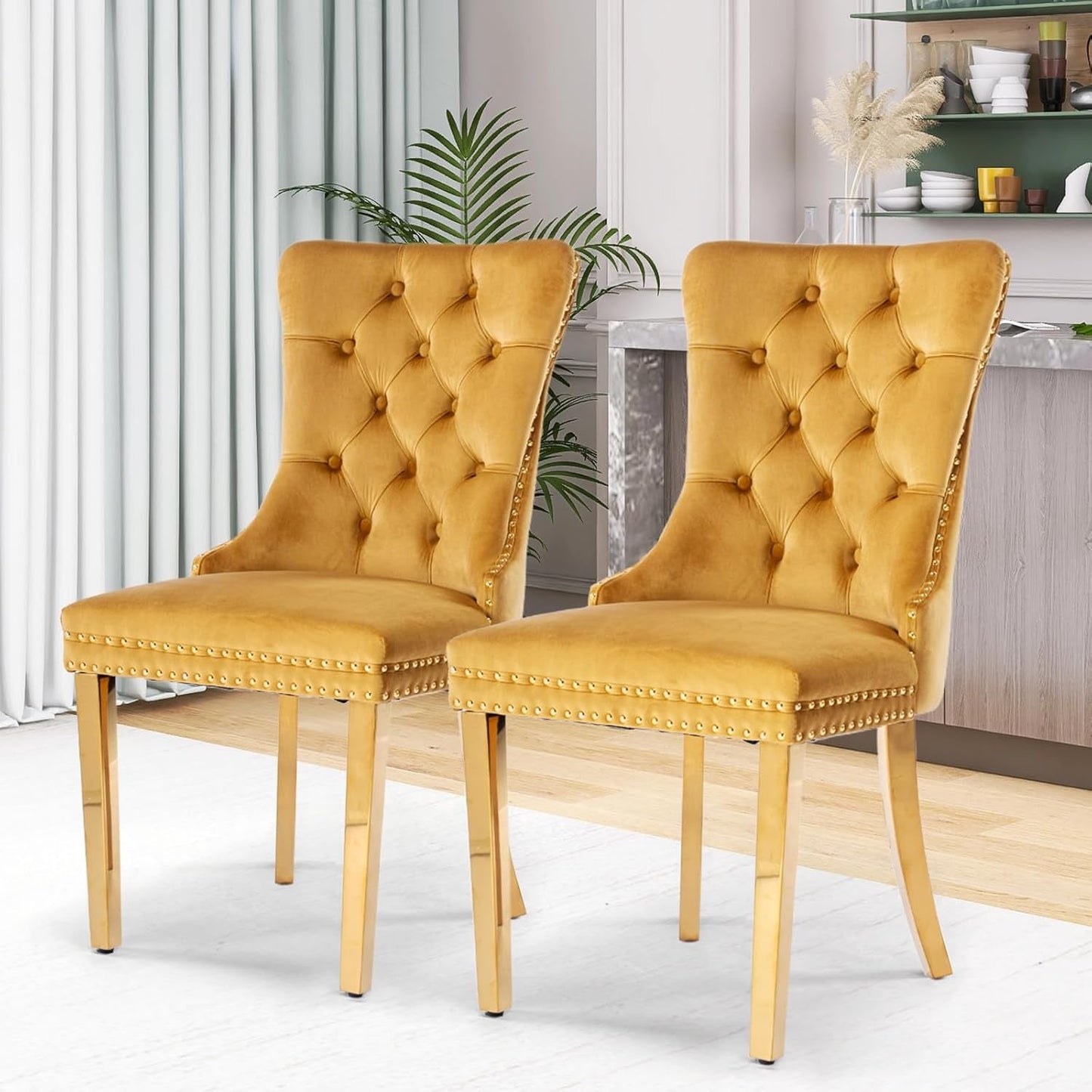 Velvet Dining Chair Set of 2, Upholstered Tufted Dining Room Chair with Nailhead Trim and Stainless Steel Gold Plated Leg for Kitchen, Gold-2