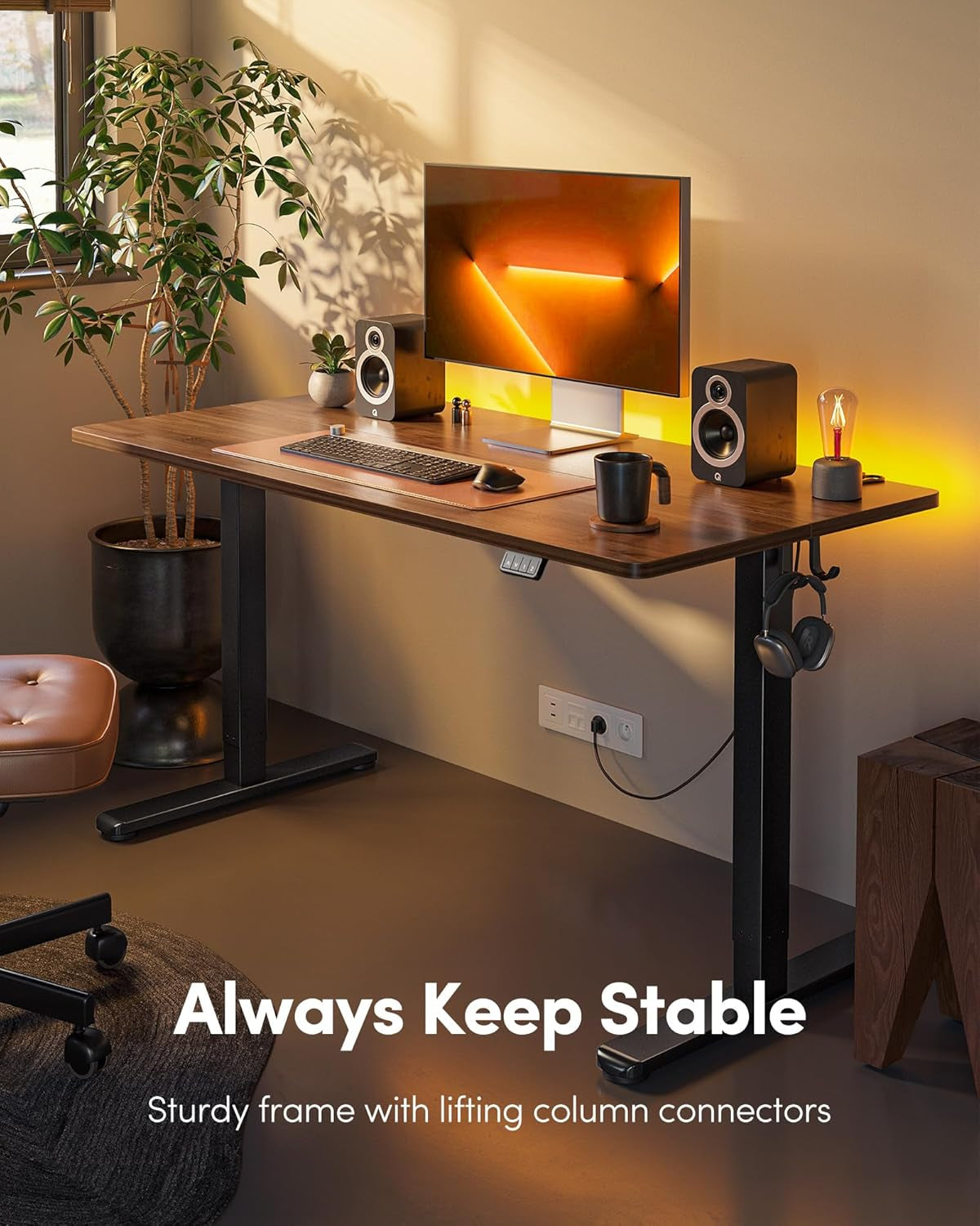 Electric Standing Desk, Height Adjustable Stand up Desk, 55 X 24 Inches Sit Stand Home Office Desk, Computer Desk, Black Walnut-2