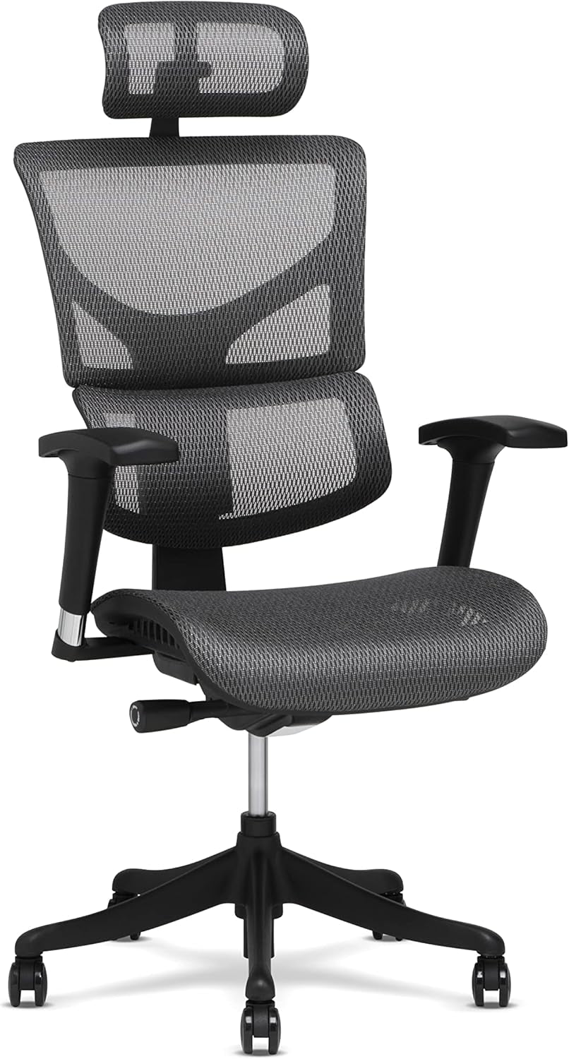 X1 High End Task Chair, Grey Flex Mesh with Headrest - Ergonomic Office Seat/Dynamic Variable Lumbar Support/Highly Adjustable/Relaxed Recline/Perfect for Office or Home Desk-0
