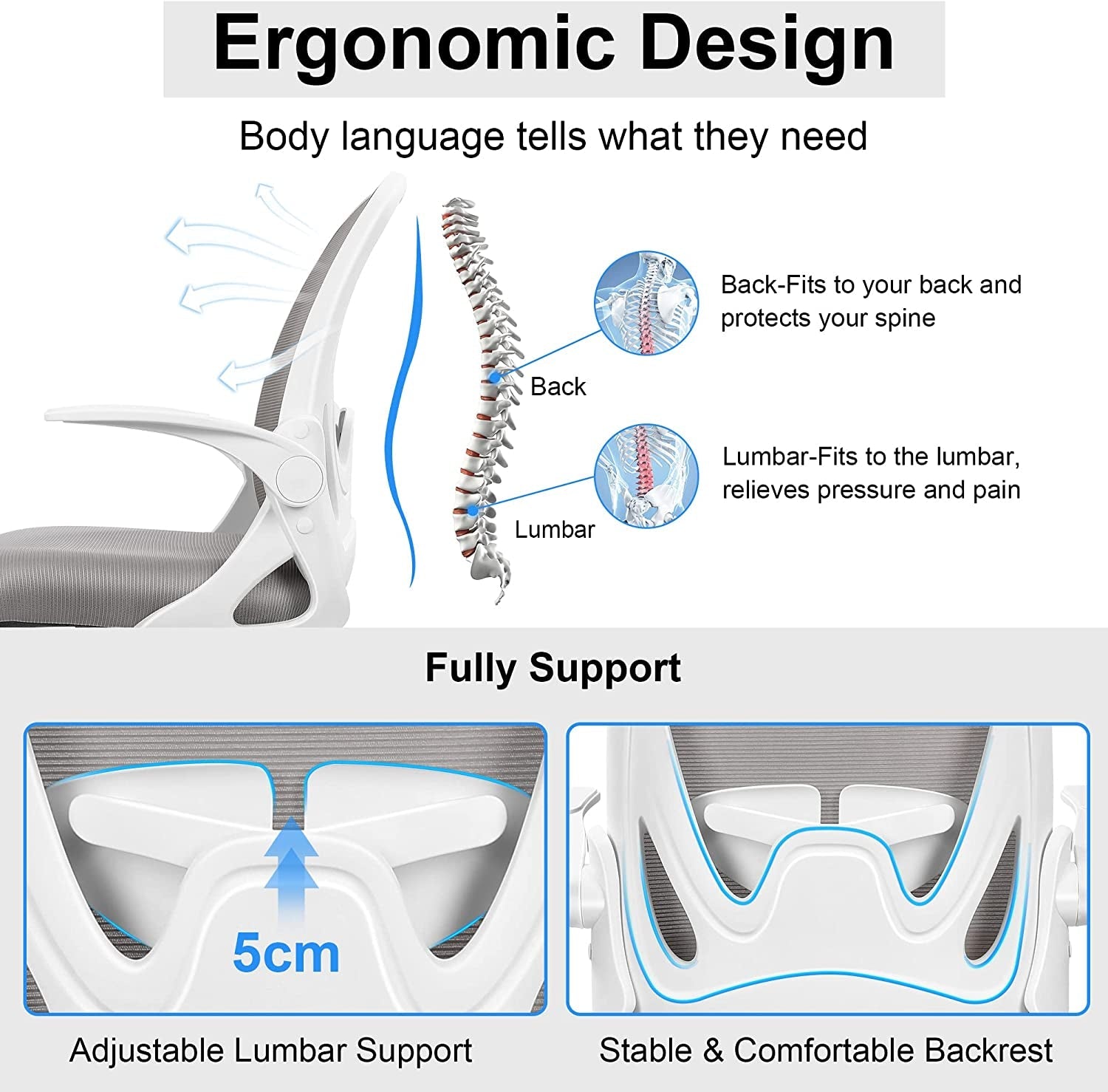 Adjustable Ergonomic Office Chair with Lumbar Support-1
