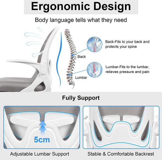 Adjustable Ergonomic Office Chair with Lumbar Support-1