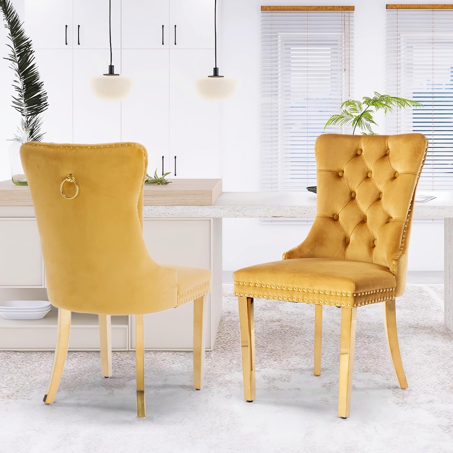 Velvet Dining Chair Set of 2, Upholstered Tufted Dining Room Chair with Nailhead Trim and Stainless Steel Gold Plated Leg for Kitchen, Gold-0