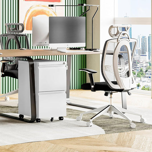 2 Drawer File Cabinet with Lock, Home Office Filing Cabinets on Wheels, under Desk 2 Drawers Storage for Legal/Letter/A4 Files,Fully Assembled-1