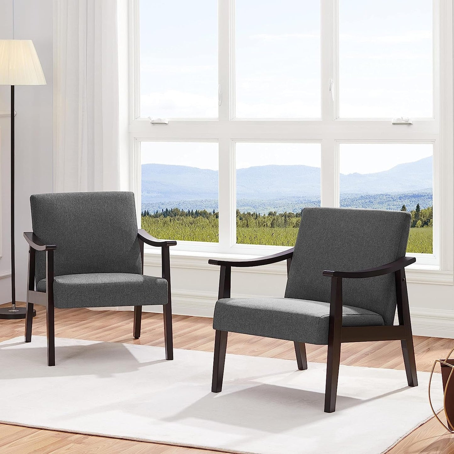 Modern Minimalist Dark Gray Accent Chair-0