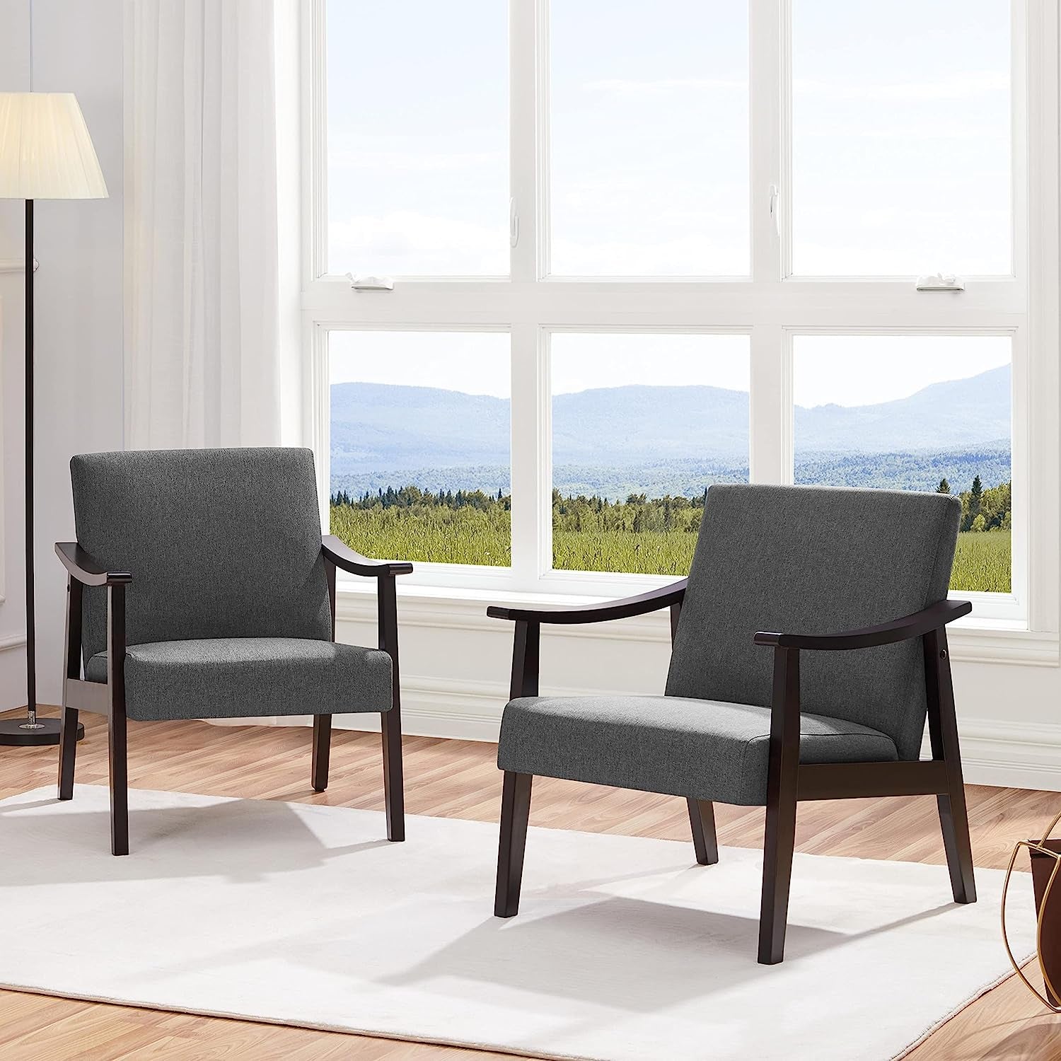 Modern Minimalist Dark Gray Accent Chair-0